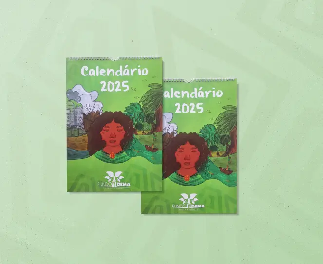 Imagem com composição do calendário de parede do Fundo Dema